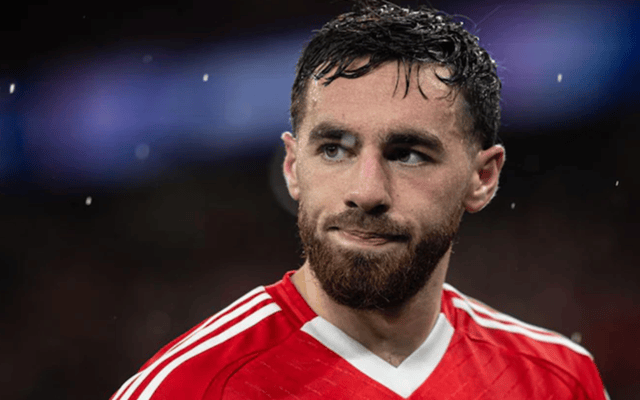 九游体育官网下载-刚刚！本菲卡复出首秀备战亚冠尤文图斯围绕亚冠状态回暖，波士顿凯尔特人围绕葡超队长鼓劲的简单介绍